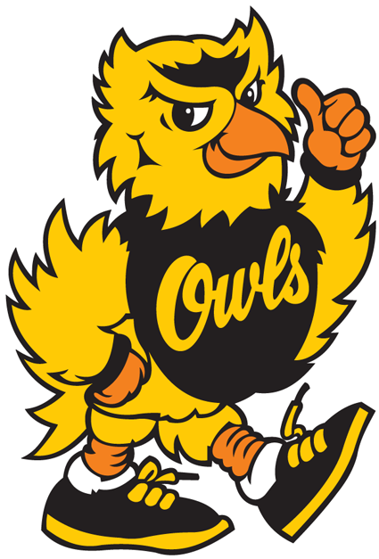 Kennesaw State Owls 1992-2011 Mascot Logo iron on transfers for fabric